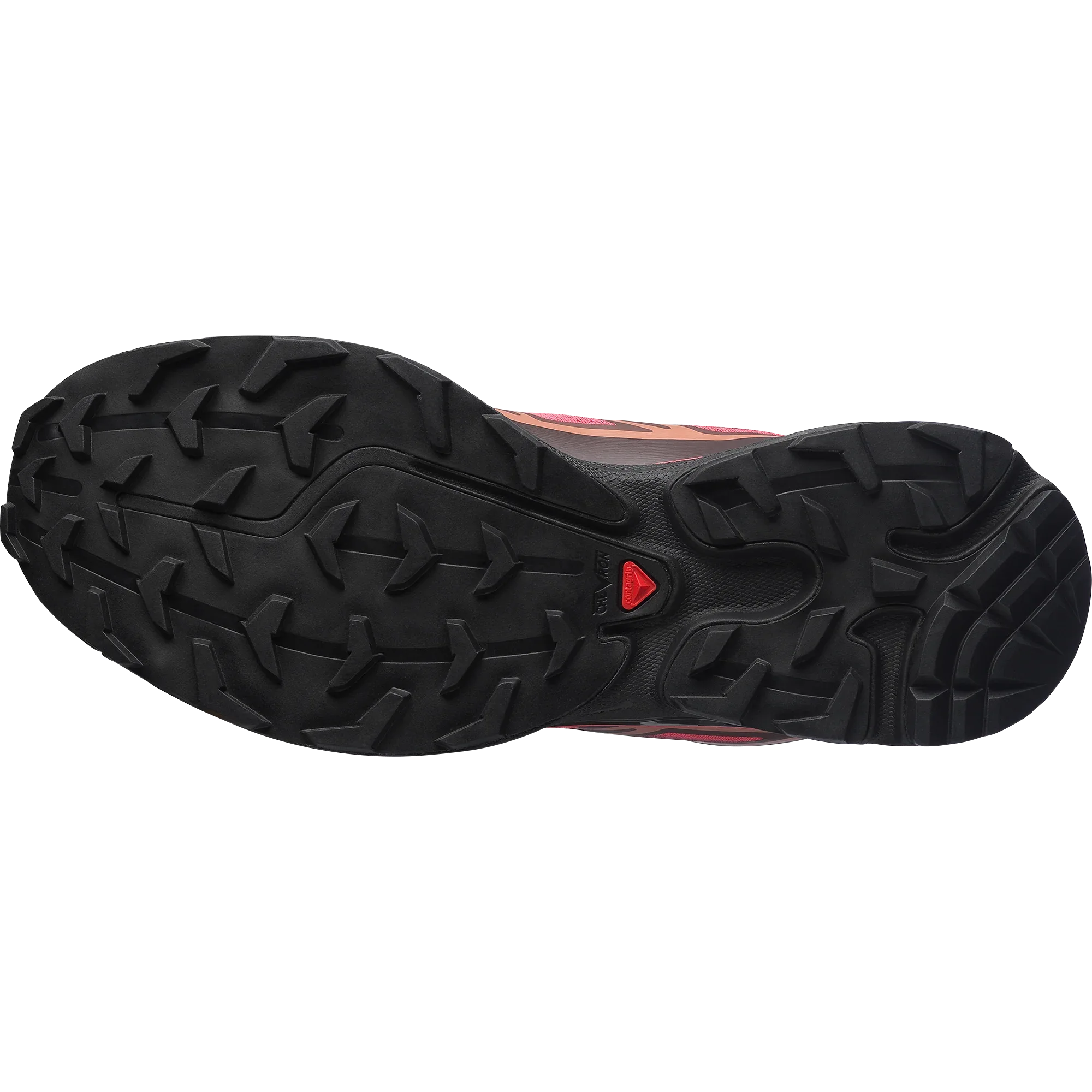 XT-6 SKYLINE - Chillpaw