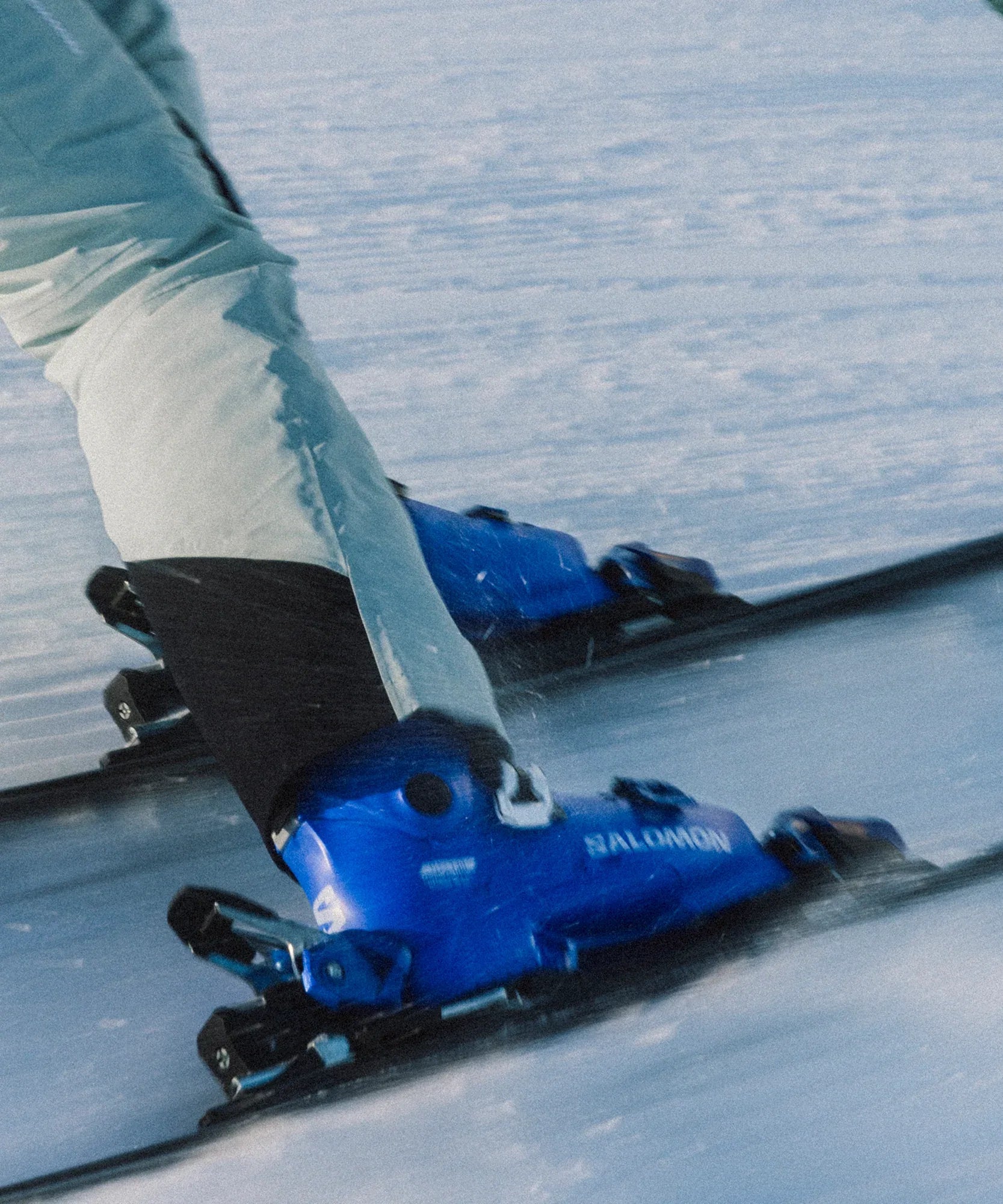 S/PRO RACE 140 - Chillpaw