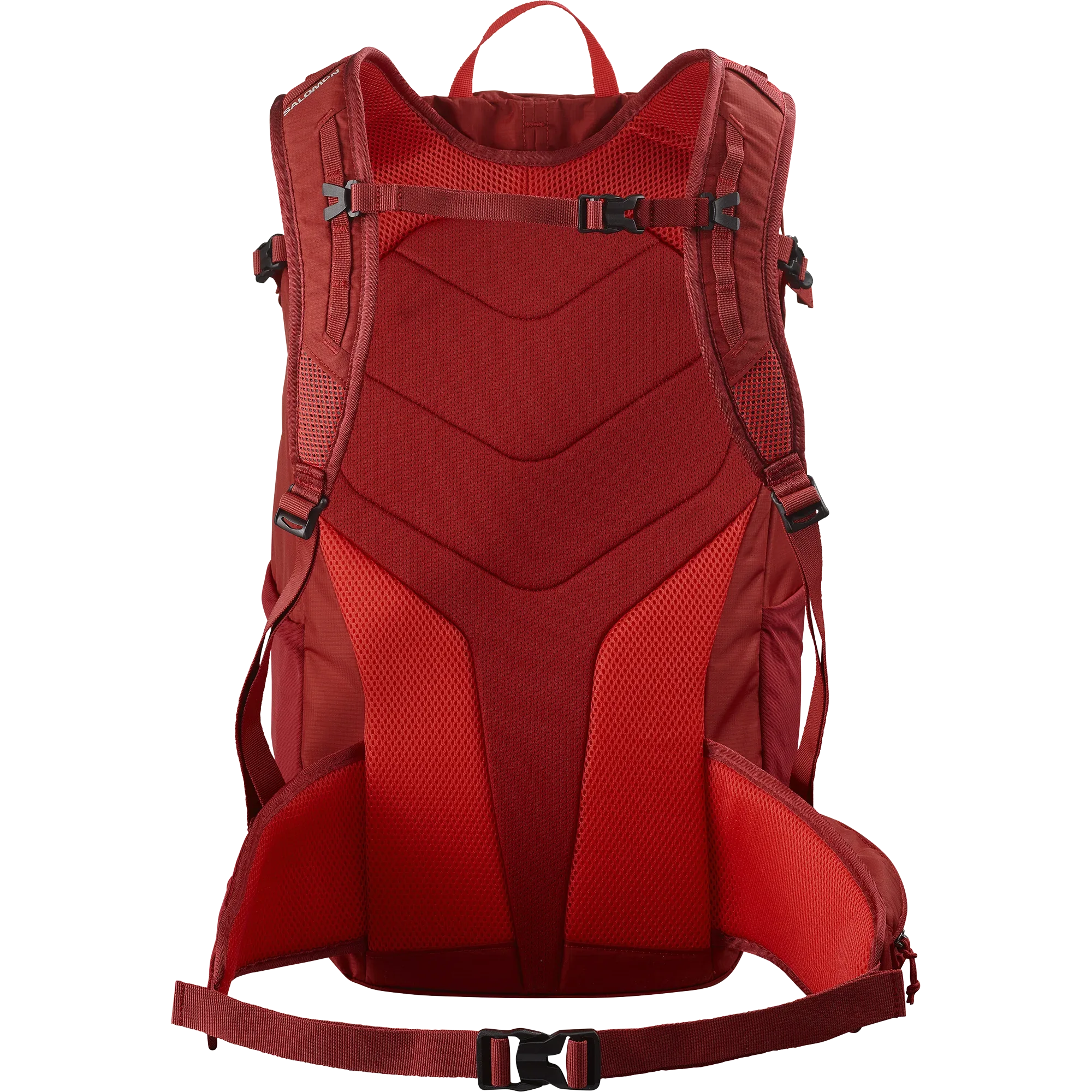 TRAILBLAZER 30 - Chillpaw