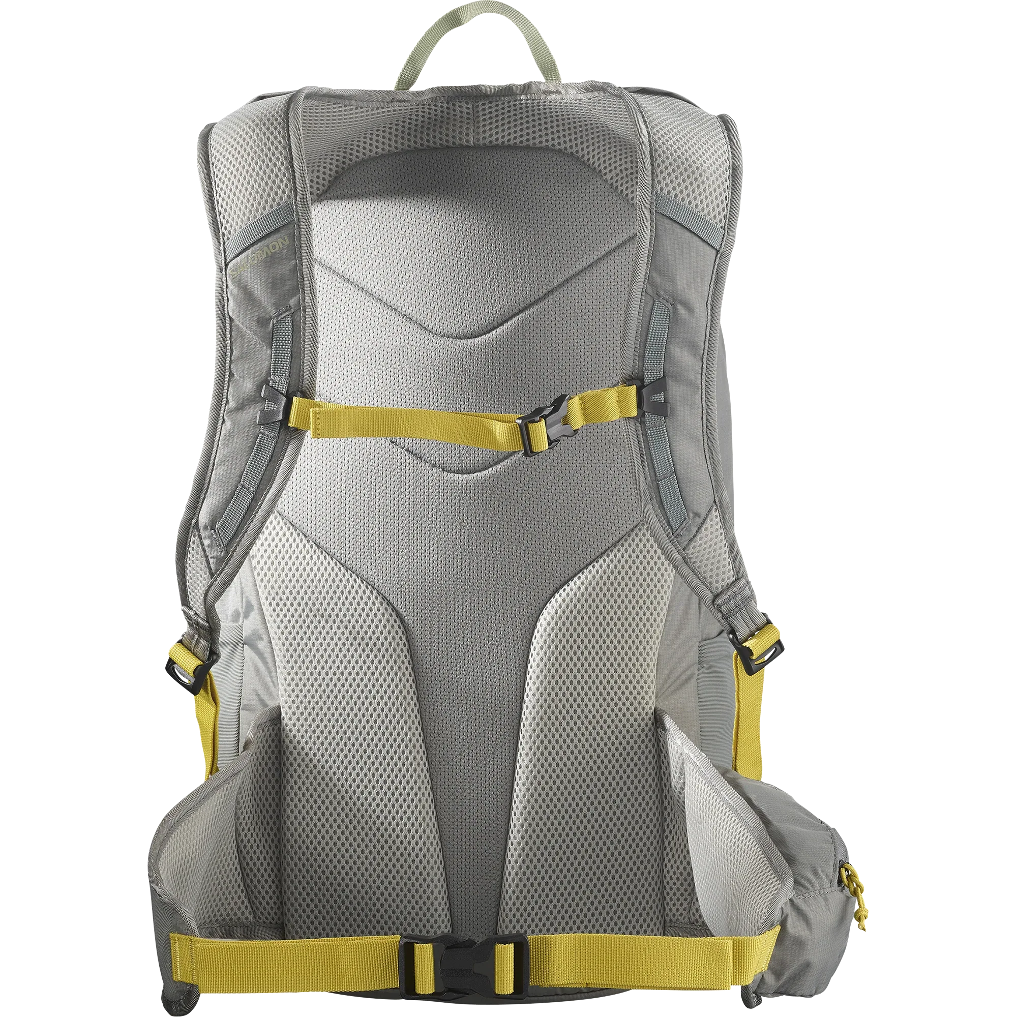 TRAILBLAZER 20 - Chillpaw