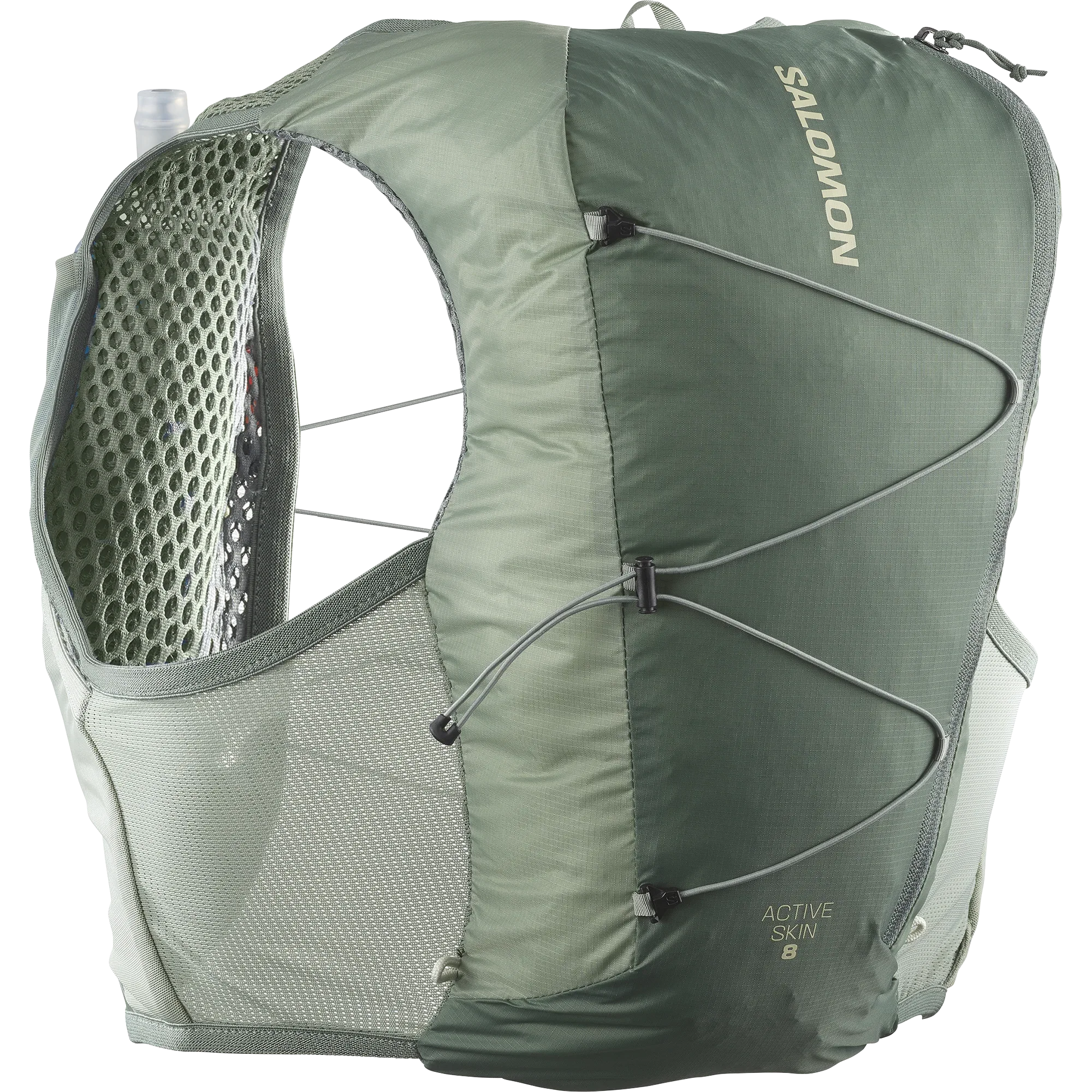 ACTIVE SKIN 8 - Chillpaw