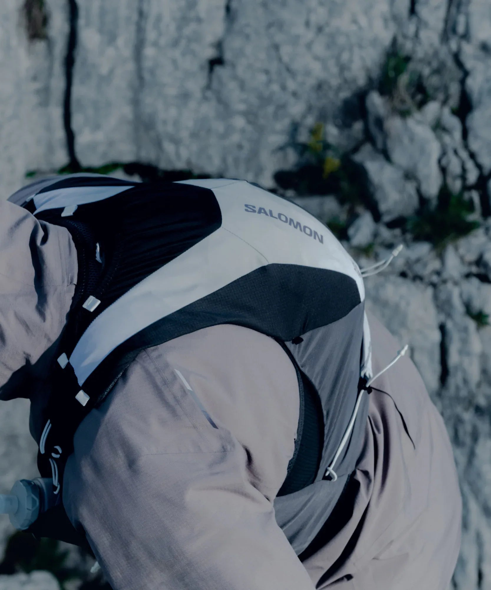 ADV SKIN 12 GRADIENT - Chillpaw