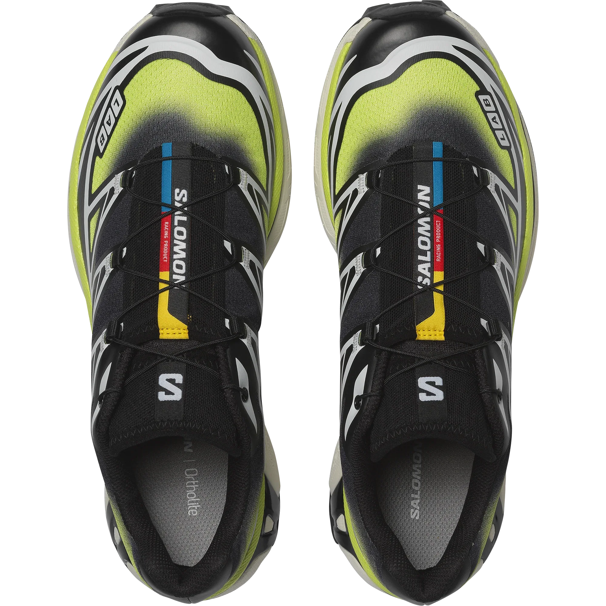 XT-6 SKYLINE - Chillpaw