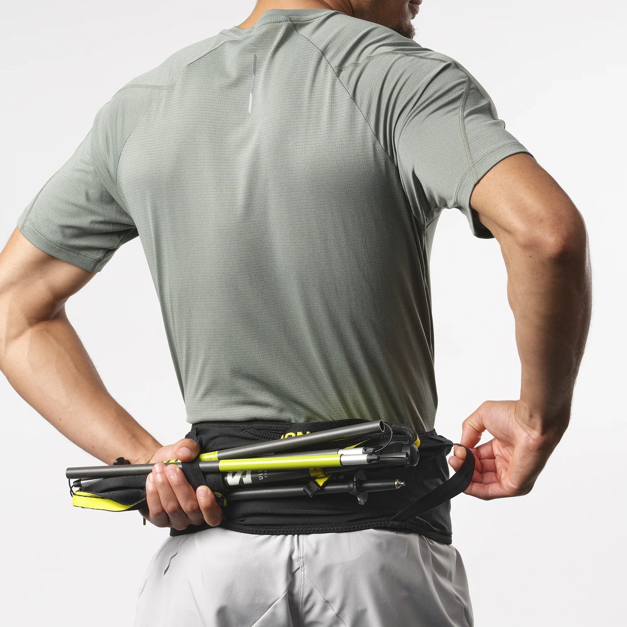 HIGH PULSE - Chillpaw